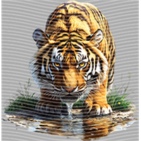 Animal Integration-DW 1791